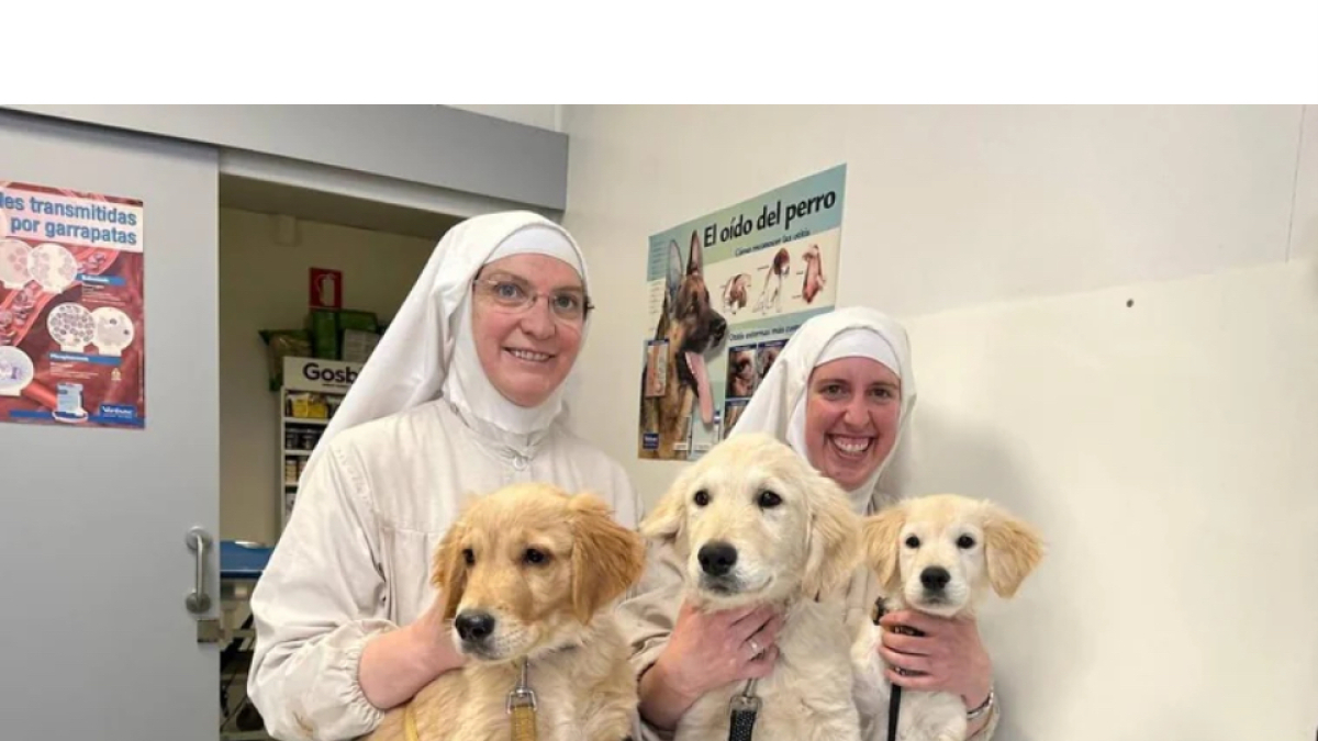 Sor Sión y otra hermana de Belorado junto a varios cachorros en una clínica veterinaria.