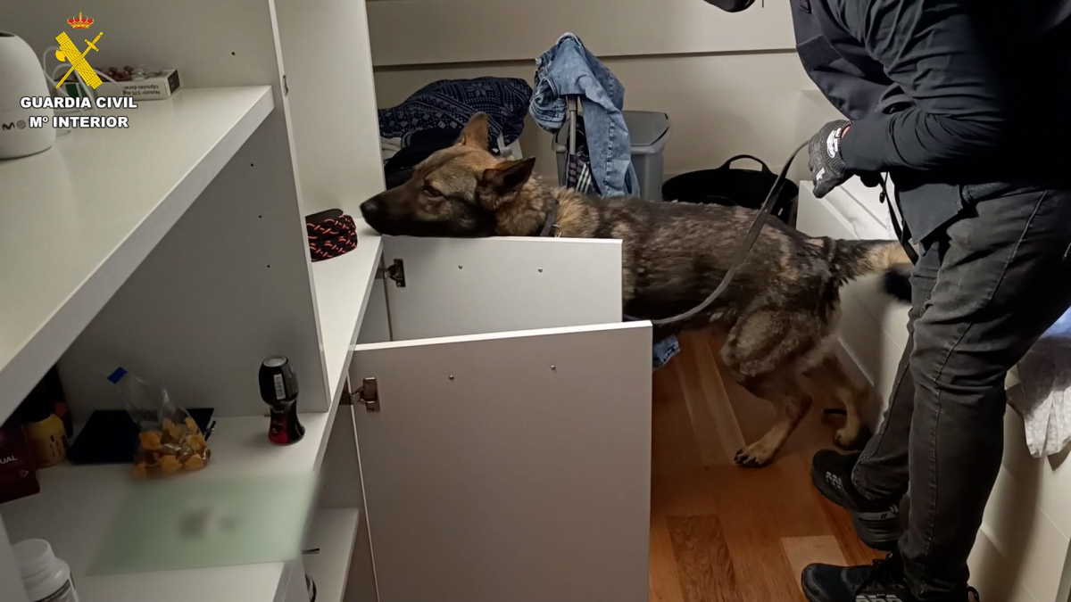 La Guardia Civil desmantela un punto de venta de droga.