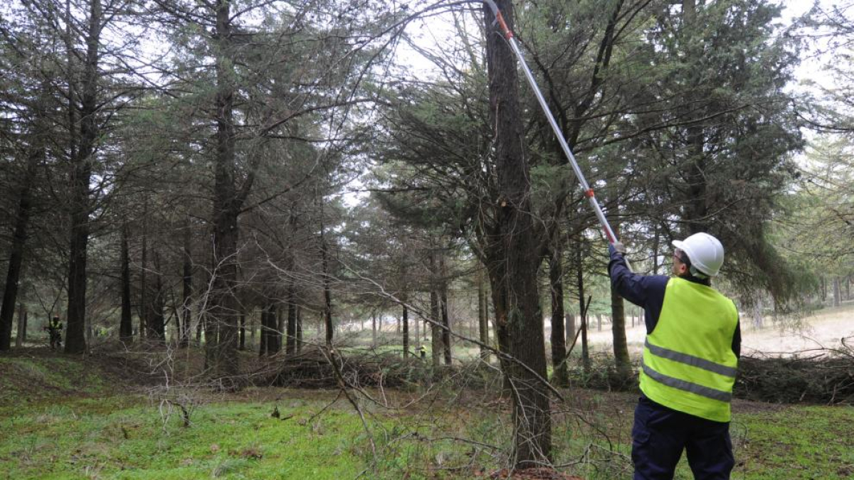 Imagen de un operario de uno de los planes de empleo.