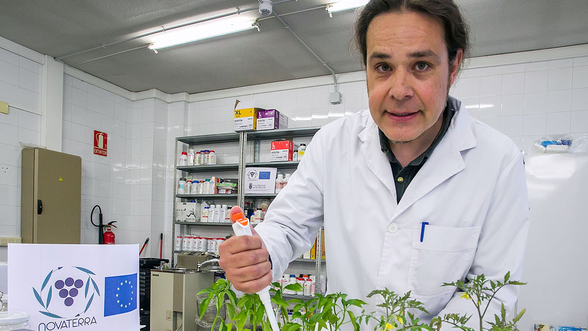 Gonzalo Sacristán Pérez Minayo, director del proyecto Novaterra en la UBU.
