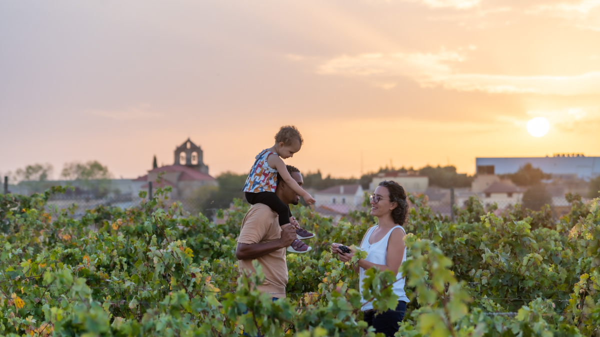 Ruta del Vino Ribera del Duero