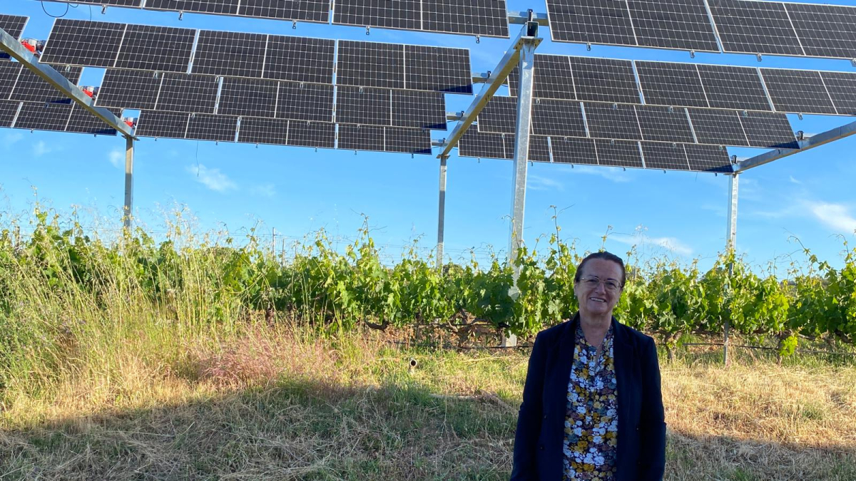 La enóloga, Aintzane Bernaola, de Bodegas San Gabriel
posa junto a la placa agrovoltaica