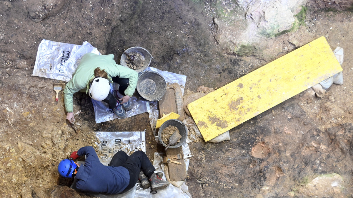 Trabajos de limpieza y adecuación de la superficie de excavación en Sima del Elefante, uno de los yacimientos más antiguos de Atapuerca.