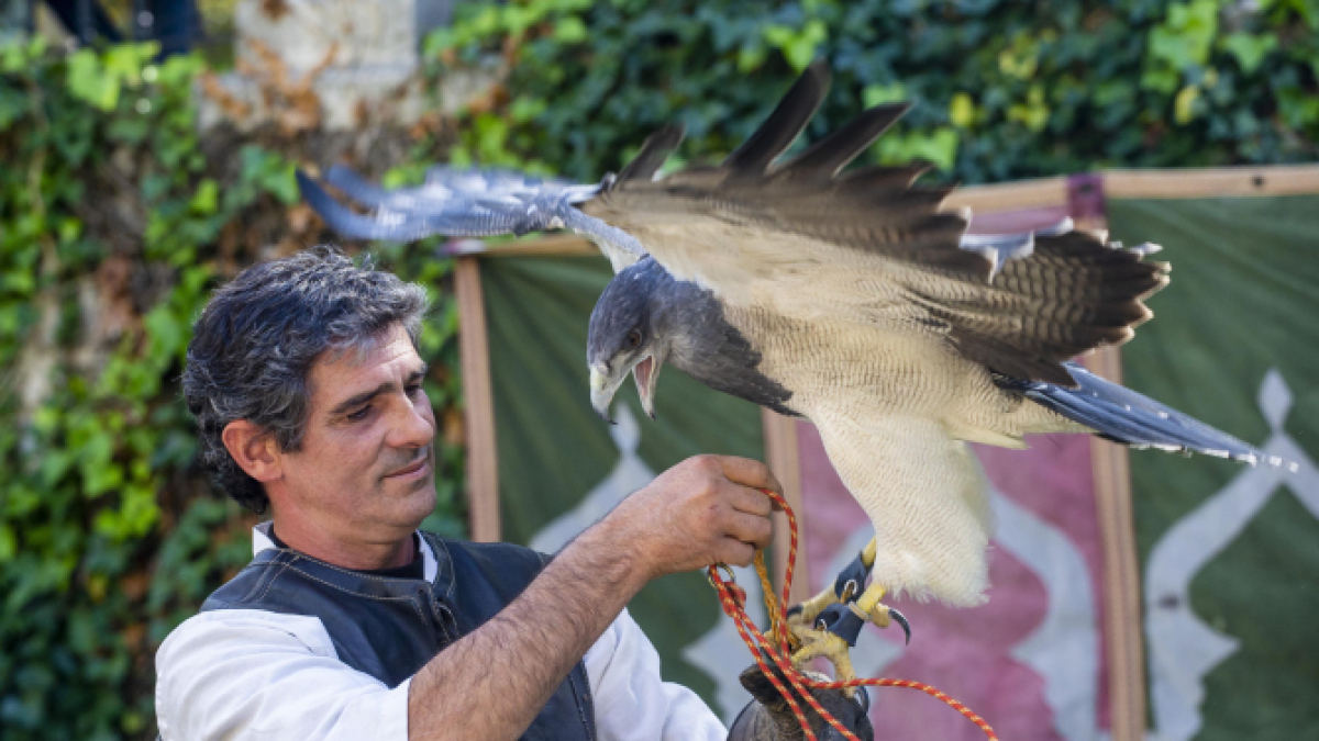 El mercado cidiano tendrá talleres y actividades