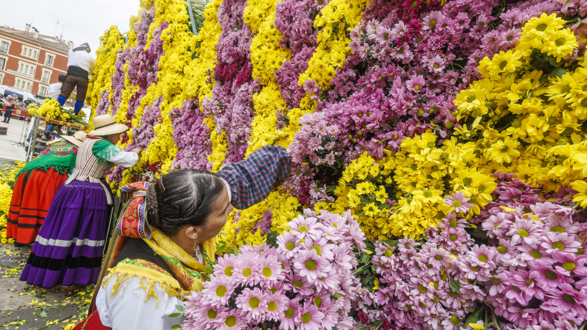 Los colores del mosaico de flores este 2024 fueron el lila y el amarillo.