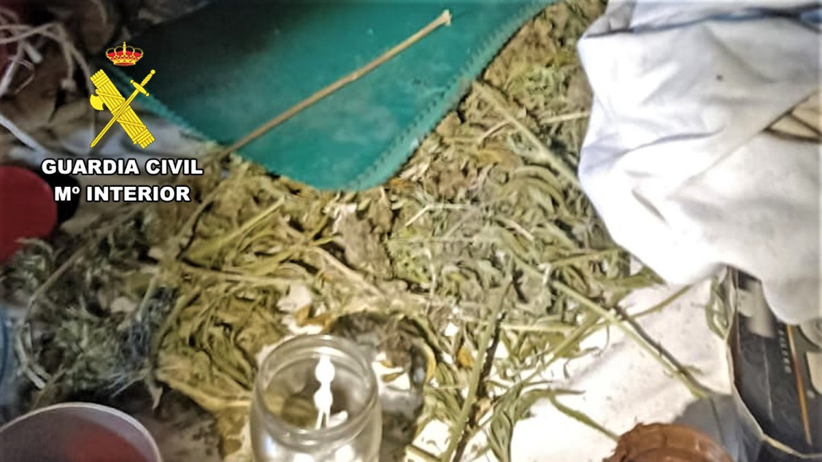 Marihuana incautada en la vivienda del detenido.