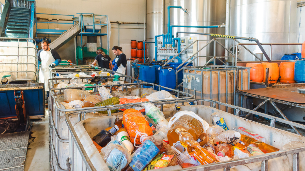 El aceite recogido se traslada a la planta de tratamiento de Villariezo, donde se eliminan impurezas y se filtra para convertirlo en biodiésel.