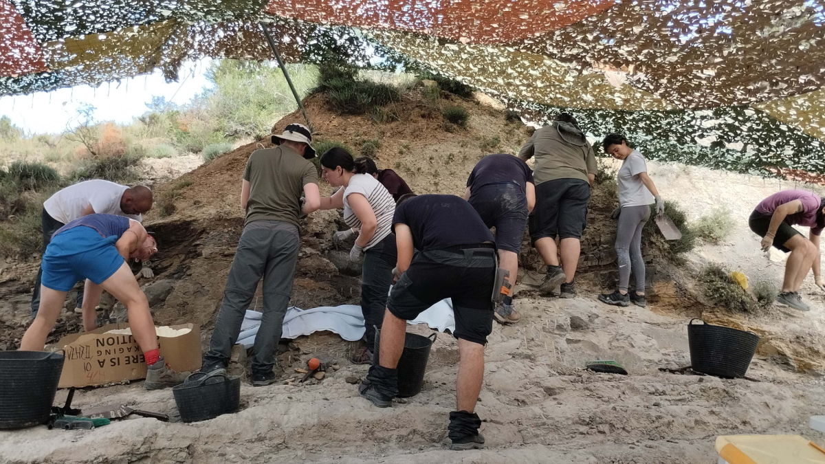 El grupo de investigadores en los trabajos de excavación de la campaña en Hortezuelos.