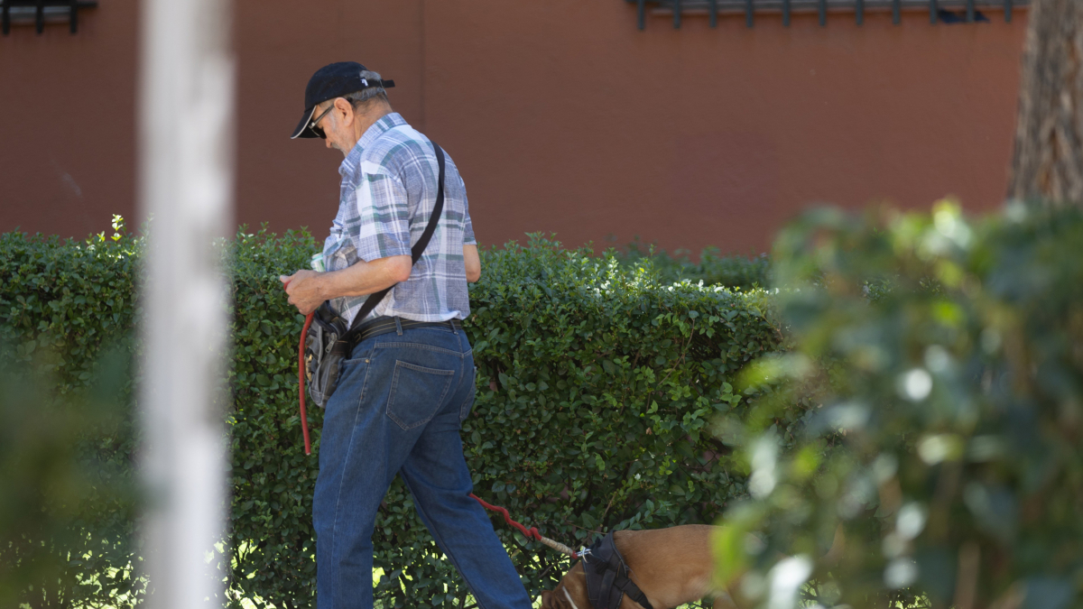 Archivo - Un señor mayor camina por la sombra