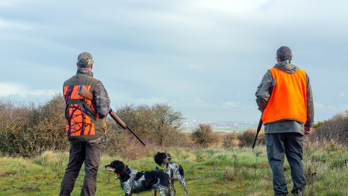 Archivo - Dos cazadores junto a sus perros.