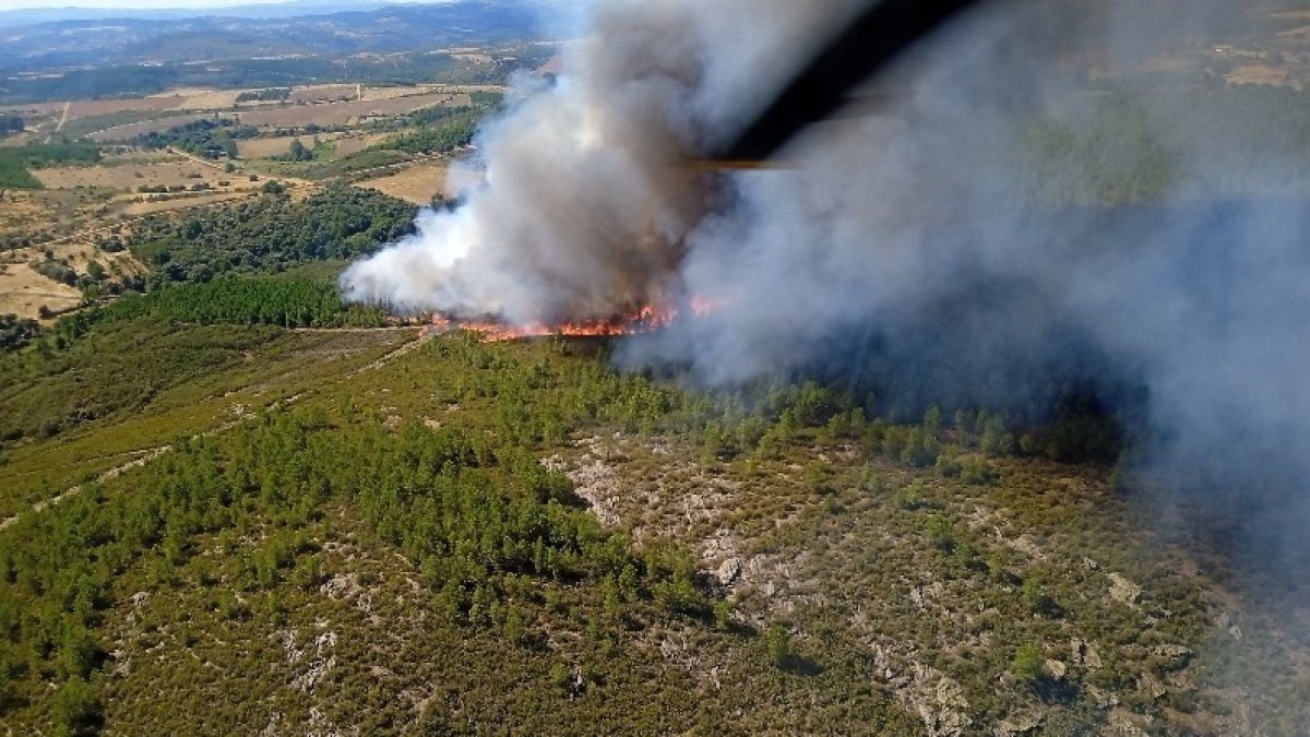 Declarado el nivel 1 de peligrosidad en un incendio forestal en Trabazos (Zamora).