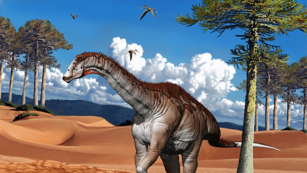 El Campananeyen fragilissimus es pariente de Demandasaurus Darwini.
