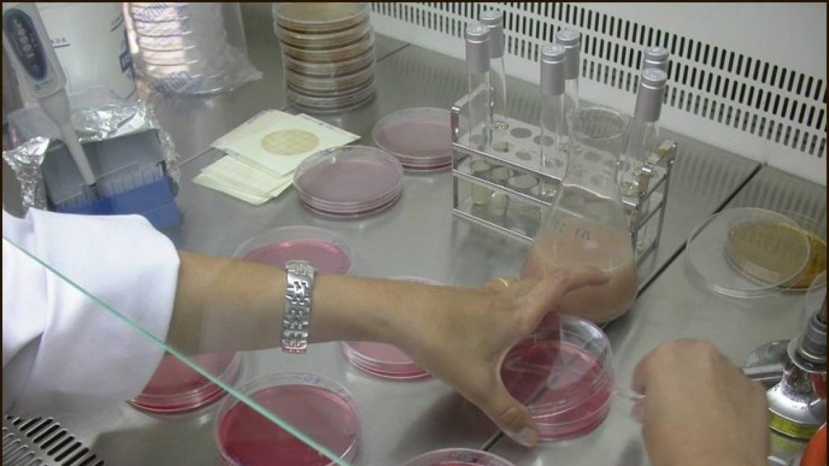 Programa Iberic Sensotracing