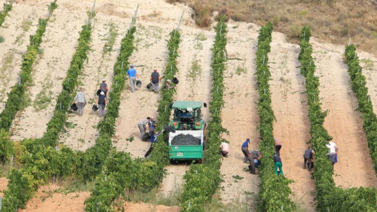 El año pasado se analizó la situación laboral de 554 trabajadores