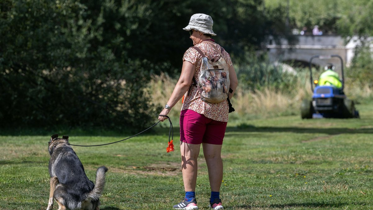 Una mujer y su mascota pasean por las riberas del río Arlanzón, en la capital burgalesa.