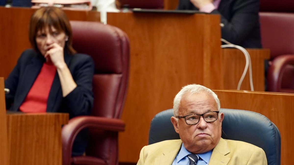 El consejero de Cultura Gonzalo Santonja en el pleno de las Cortes