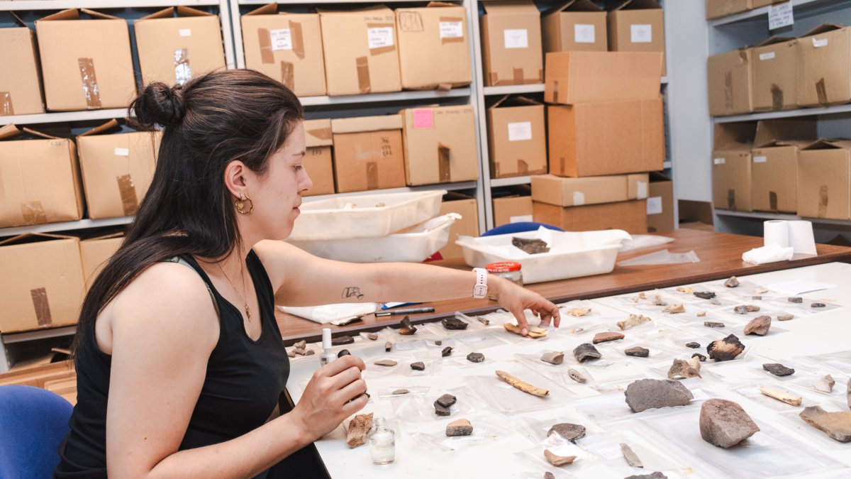 Trabajo de siglado de los restos recuperados en esta campaña en el yacimiento de Portalón. De fondo las cajas que conservan parte del material para el que se reclama más espacio.