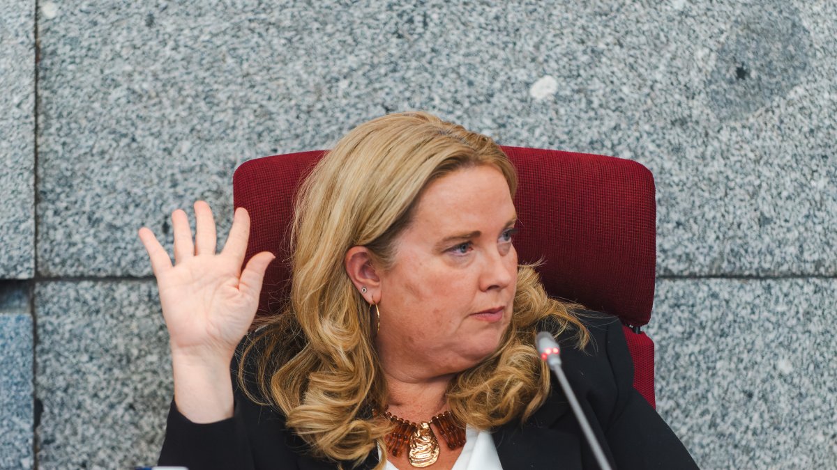 Cristina Ayala, en un momento del último Pleno municipal, en el Ayuntamiento de Burgos.