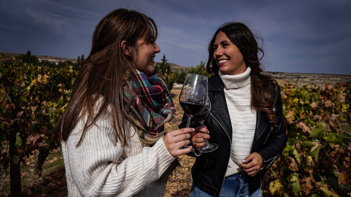 La Ribera del Duero es la tercera ruta vinícola más visitada de España
