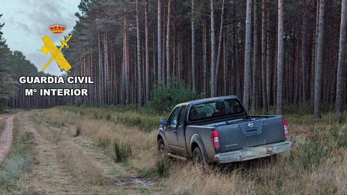 Imagen del vehículo.