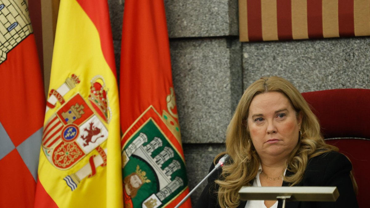 Cristina Ayala, en un momento del Pleno municipal de este mes de octubre.
