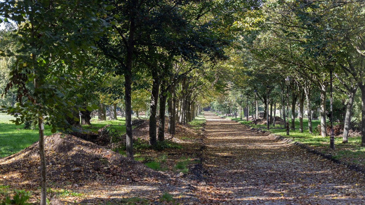 Los nuevos caminos para transitar por el parque de El Parral han comenzado a trazarse por parte de la empresa adjudicataria de las obras.