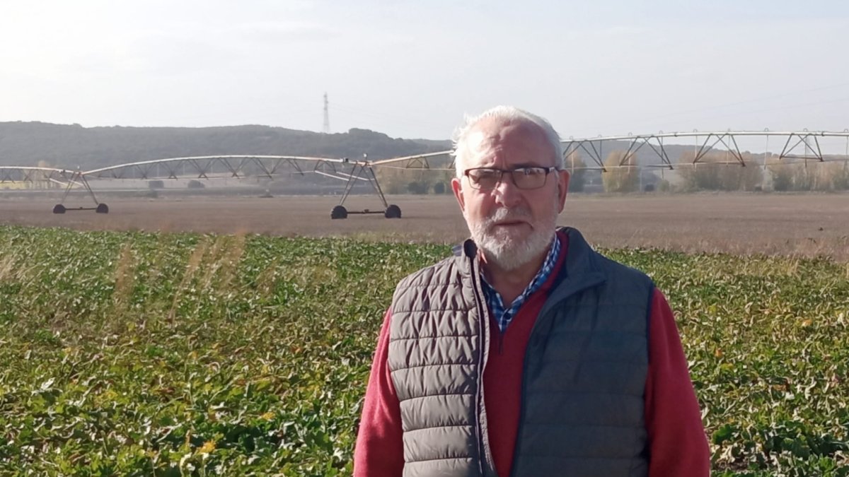 José Luis posa en una plantación de remolacha de la cooperativa