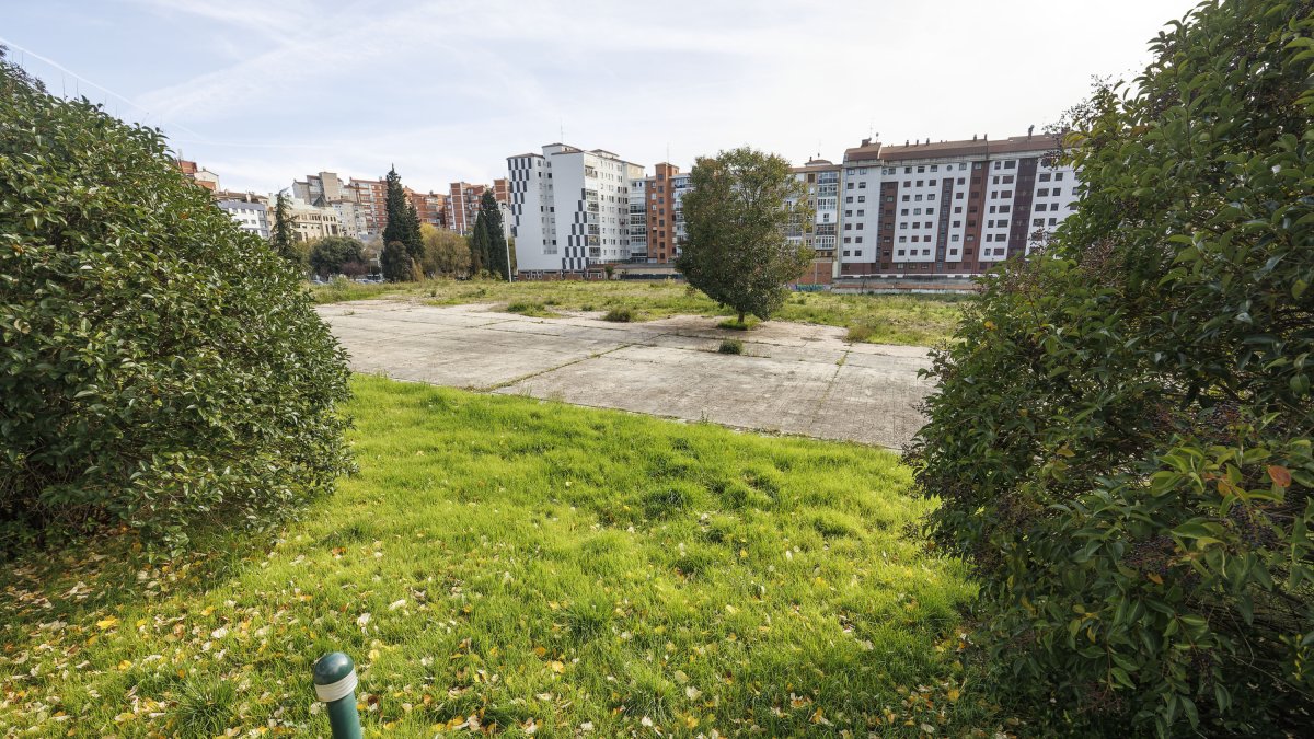 Solar del antiguo hospital General Yagüe, en el que ha crecido la vegetación por la falta de uso, desde que culminó el derribo en 2016.