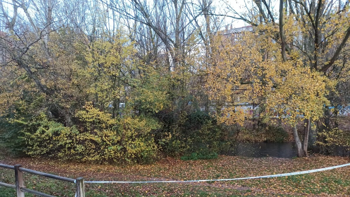 Imagen del lugar donde apareció el bebé muerto.