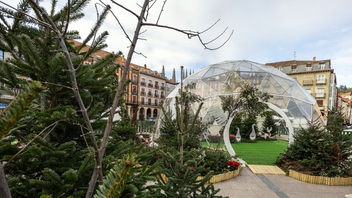 Los domos geodésicos son una de las novedades de este año.