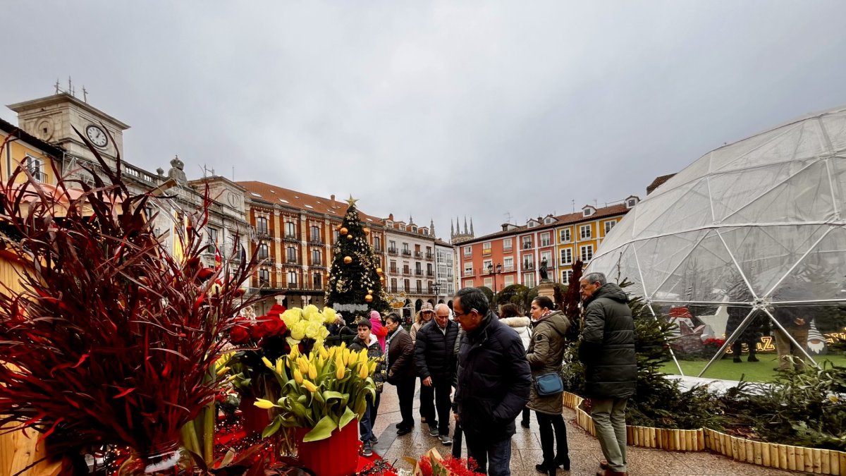 Muchas personas se acercaron a conocer esta propuesta situada en la Plaza Mayor.