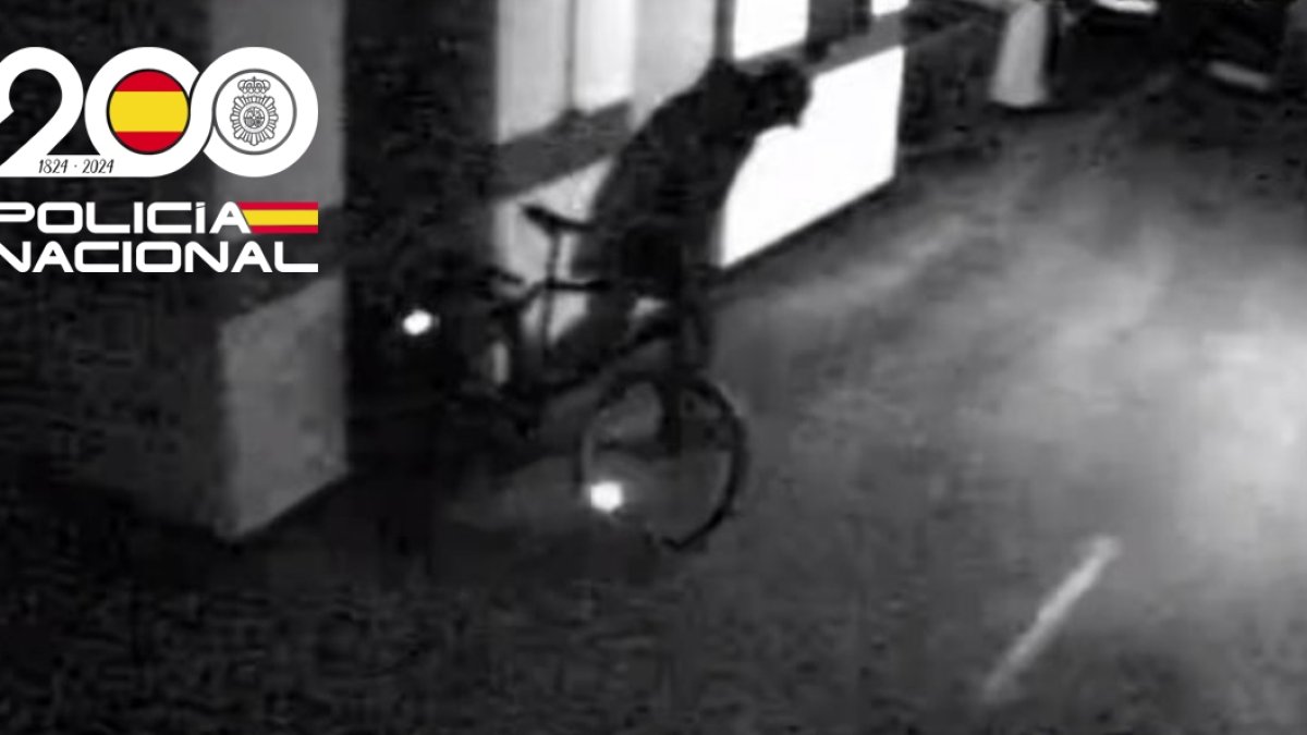 Imagen del ladrón en pleno robo.