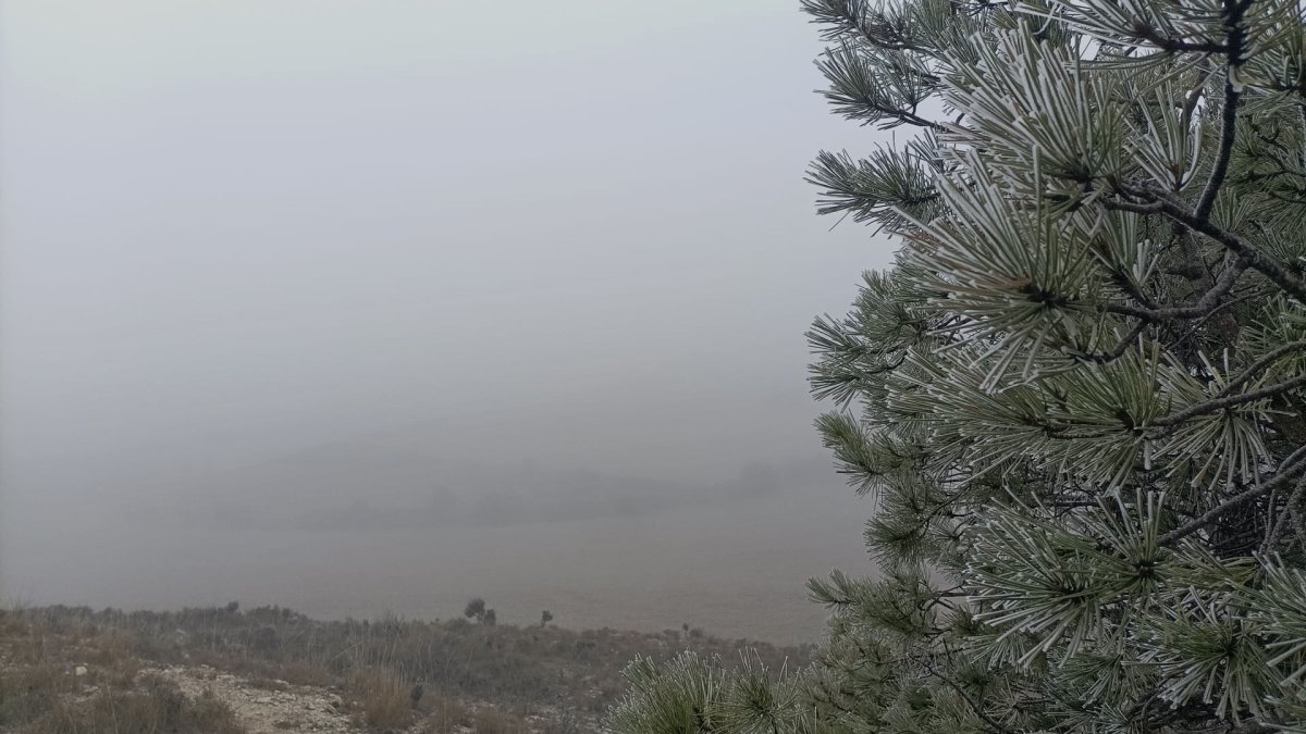 La niebla continuará en Burghos en la recta final del año.