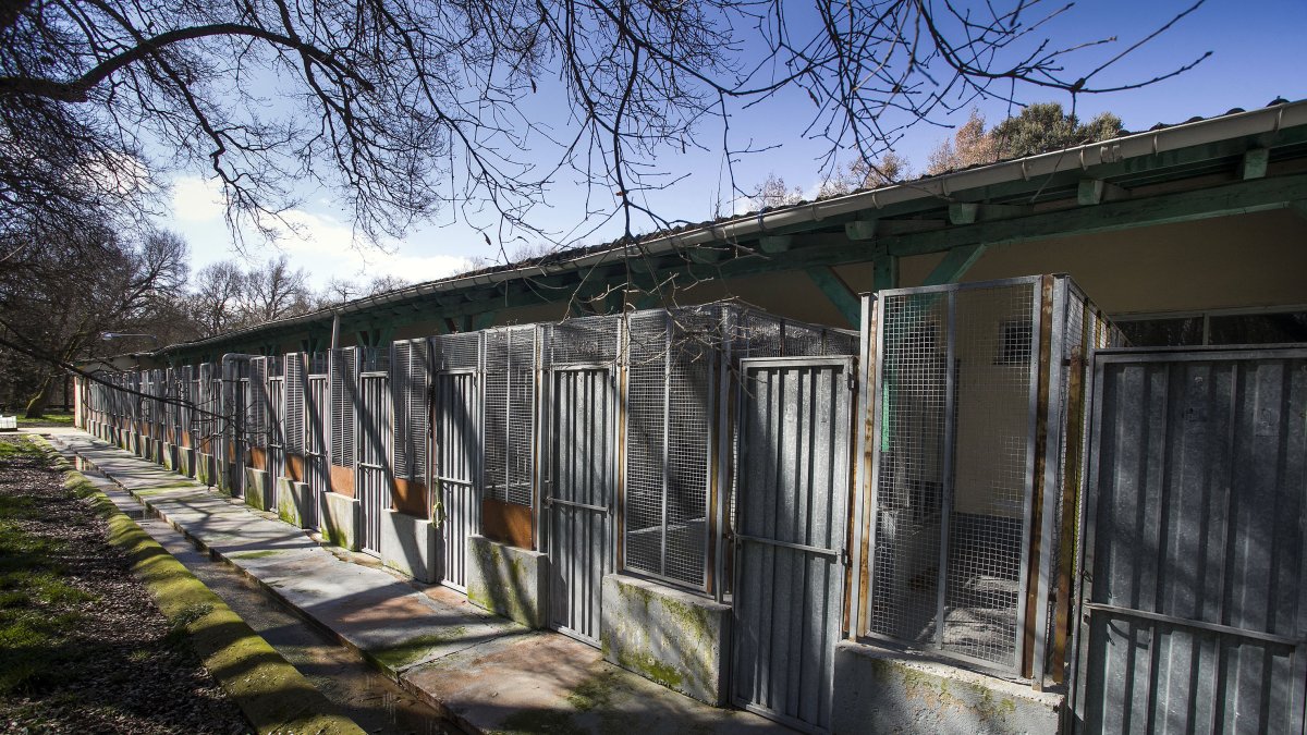 Instalaciones de la perrera ubicada en Villafría.