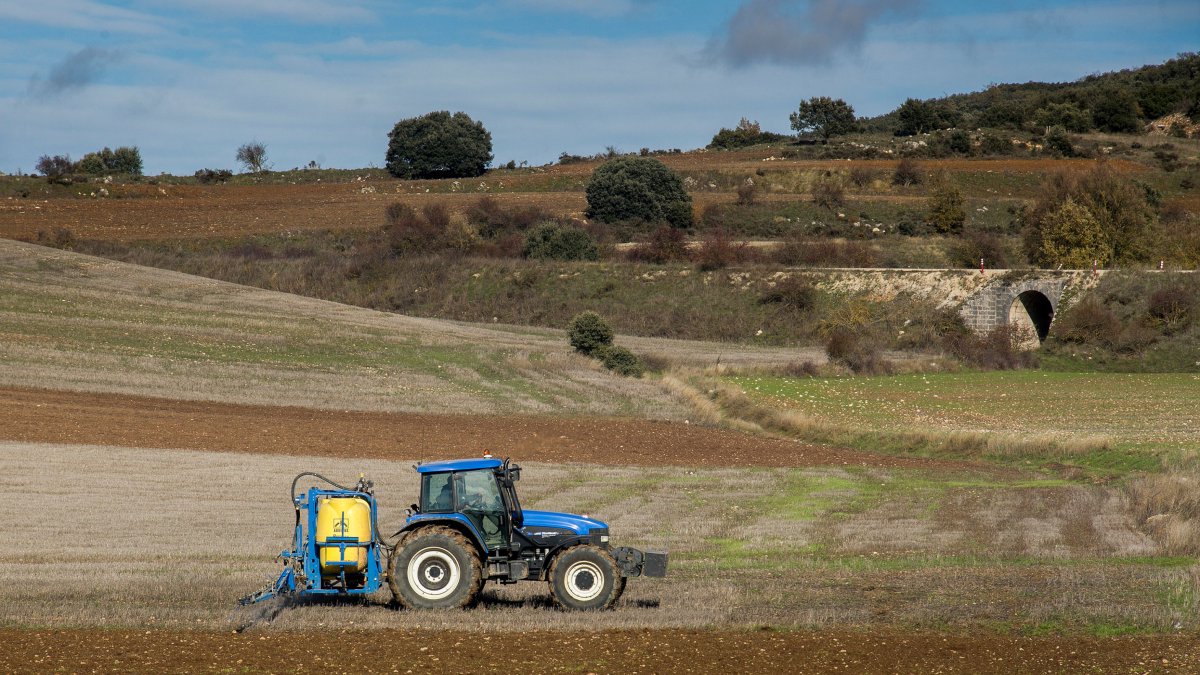 Imagen de un tractor en una tierra de labor.