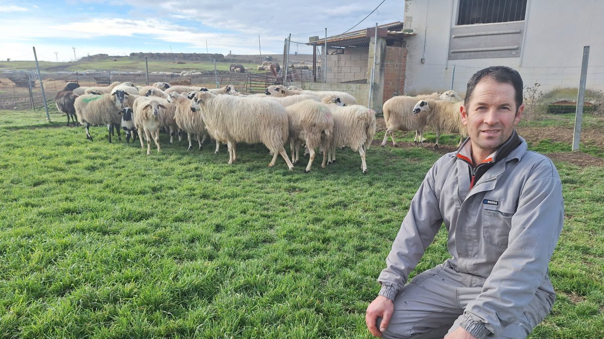 Sergio Lázaro tiene 500 ovejas en Oquillas (Burgos)
