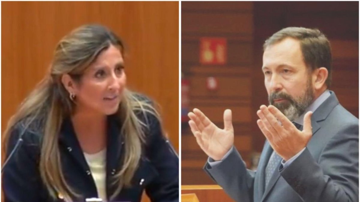 Ana Rosa Hernando y Javier Teira, en una imagen de archivo.E. M. / ICAL