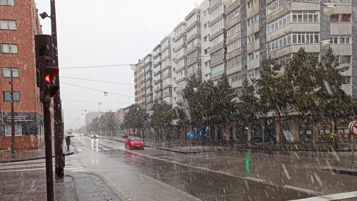 Imagen de la nevada en el bulevar.