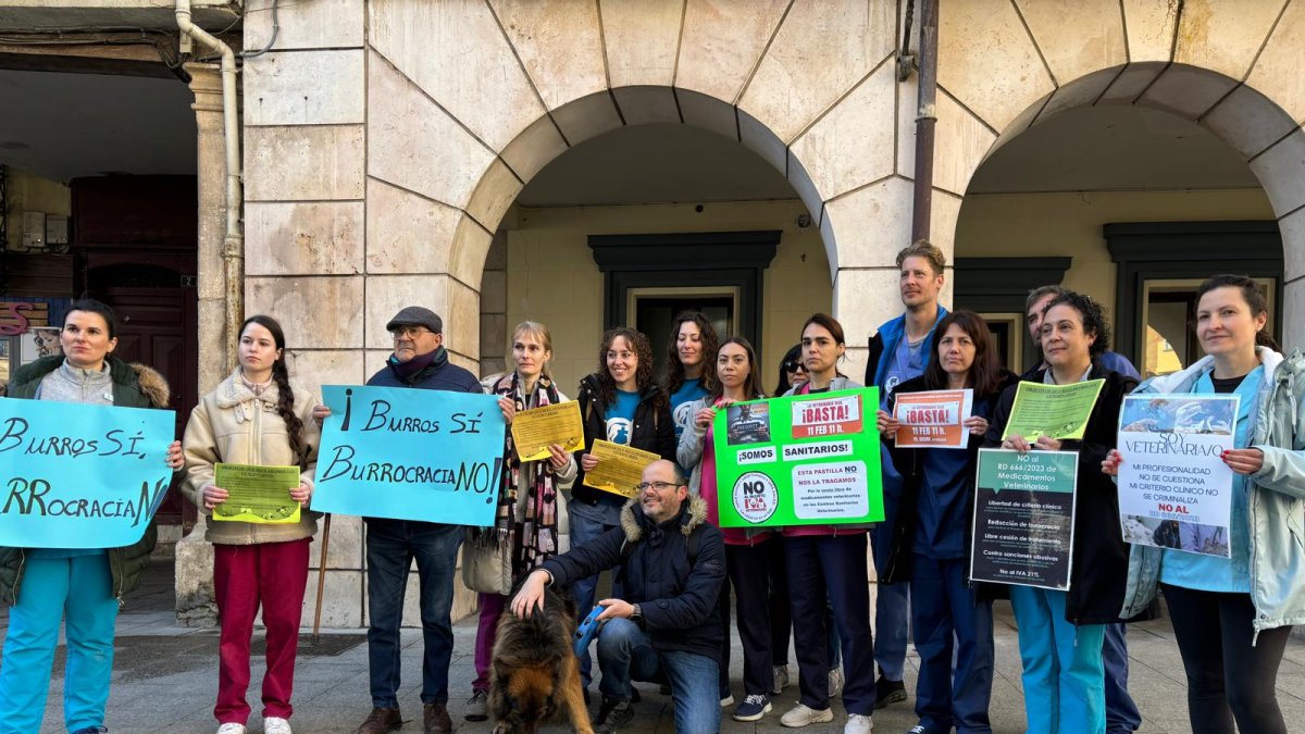 Las clínicas veterinarias han cerrado hoy como acto reivindicativo
