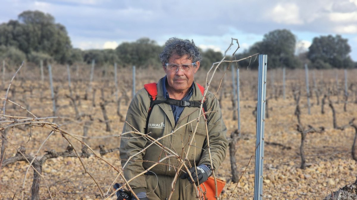 Honorio es viticultor y el presidente de la cooperativa de Milagros