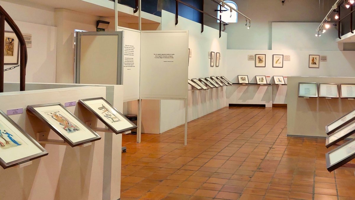 Museo de Pintura- Casa de las Bolas