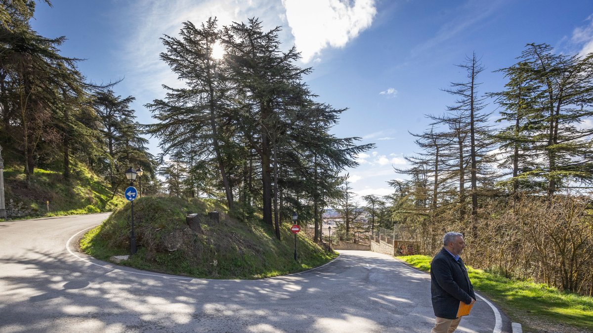 Actuaciones de mantenimiento del arbolado en el Castillo para prevenir incendios.