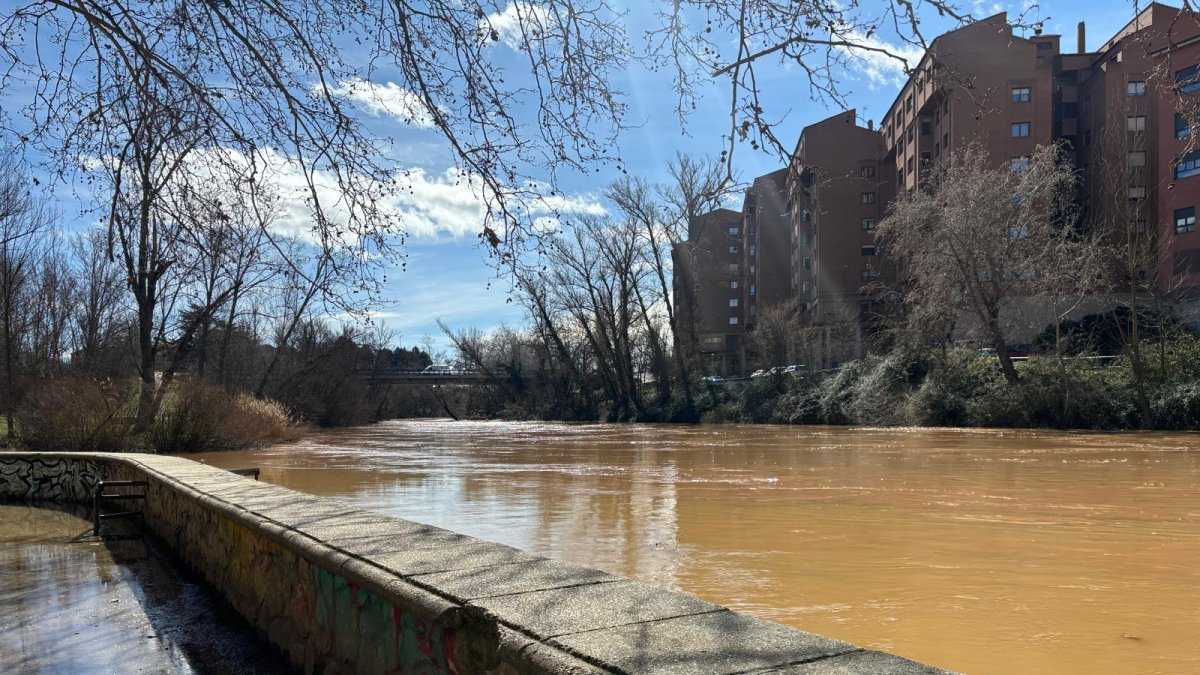 Imagen del río Duero a su paso por Aranda.