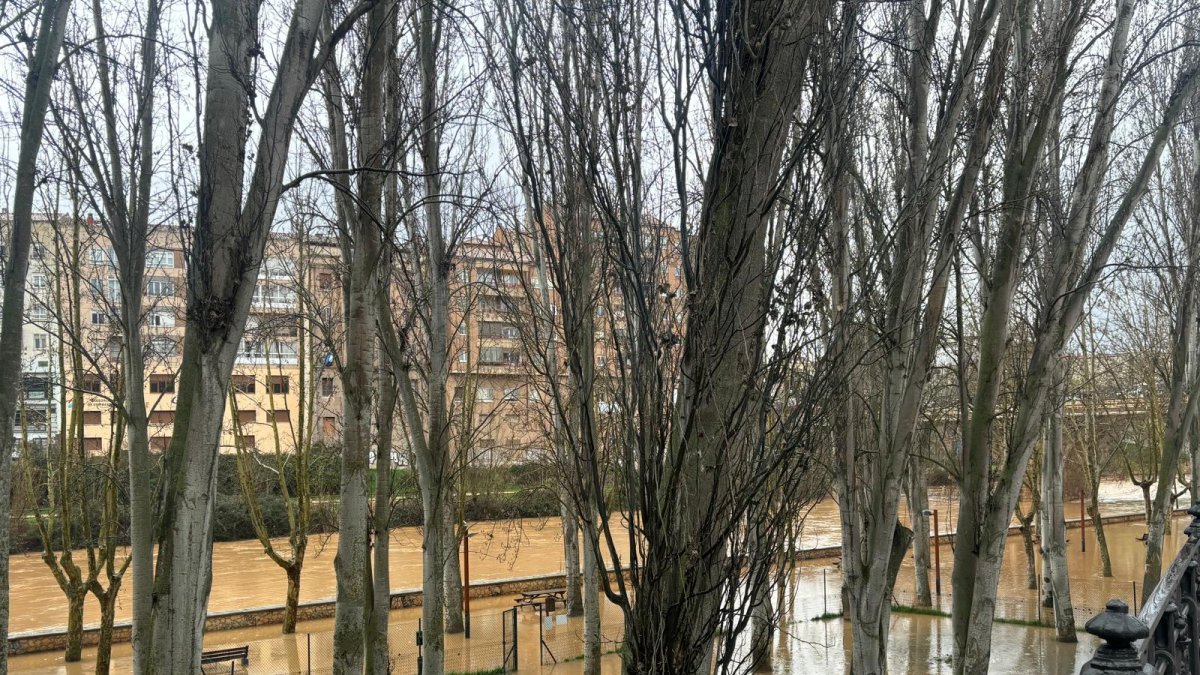 Imagen de hoy de la ribera del río Duero a su paso por Aranda, a la altura del Ayuntamiento