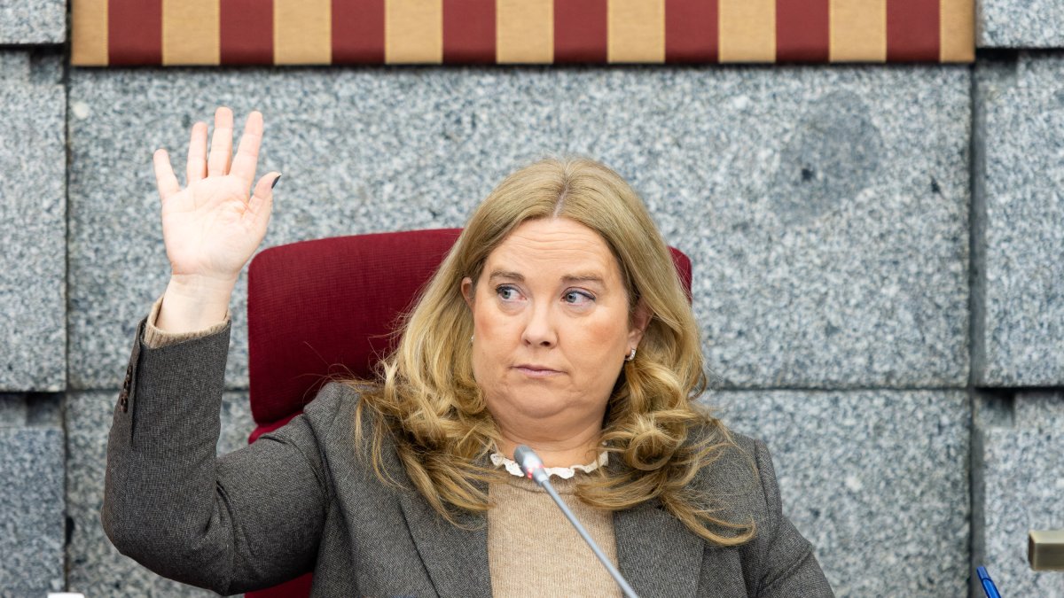Ayala durante una votación del Pleno municipal.