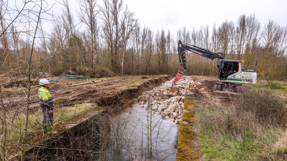 Las obras en el Humedal de Fuentes Blancas pretenden mejorar el flujo del agua que llega para ganar en biodiversidad.