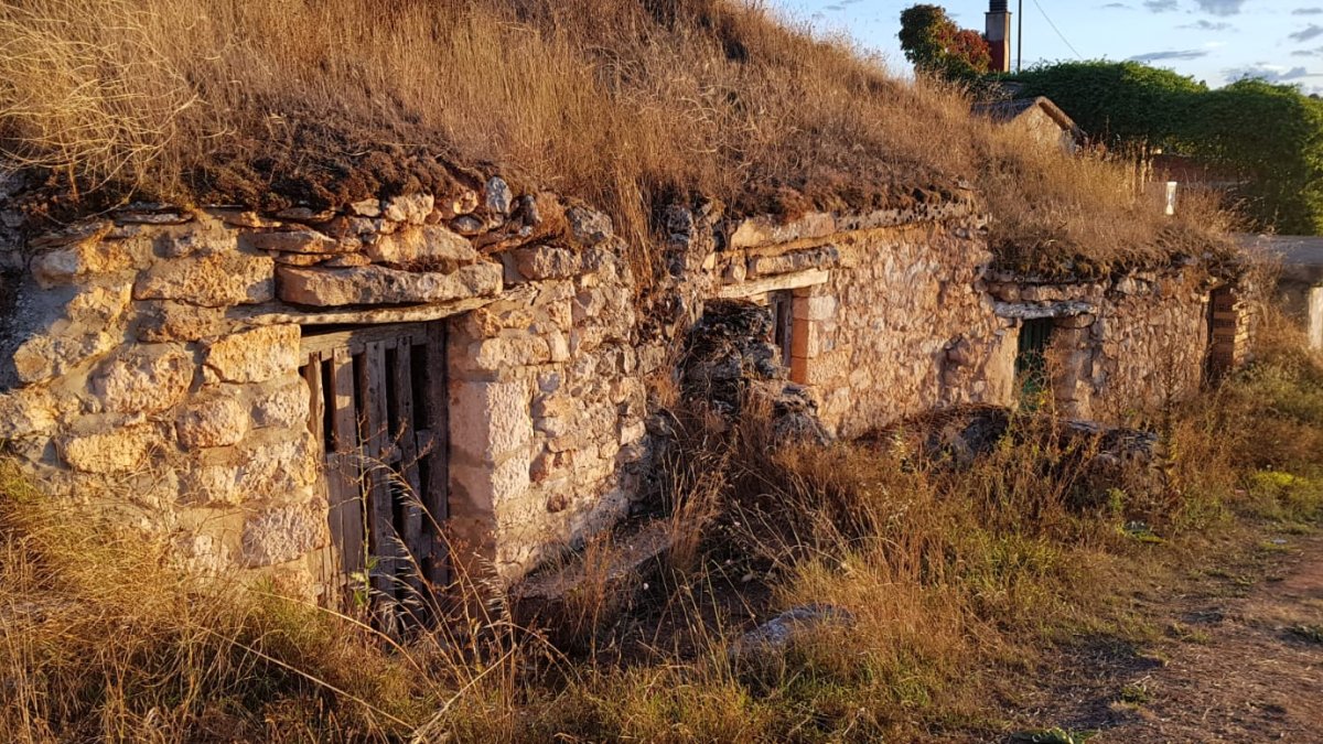 Bodegas de Fuentenebro