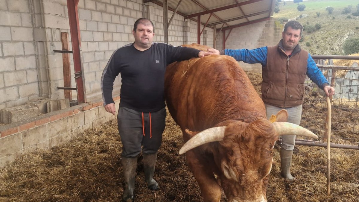 Los hermanos David y Daniel posan en su explotación ganadera de Fuentenebro