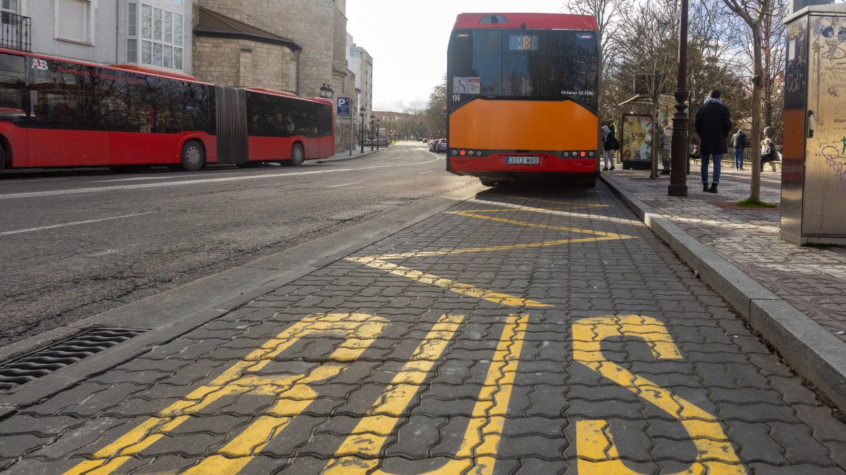 Autobuses municipales en una parada de la ciudad de Burgos, próxima a plaza Vega.