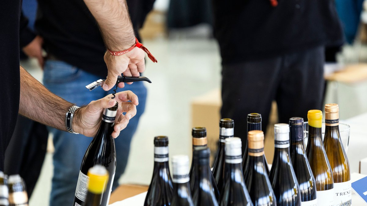 El sector del vino vive con incertidumbre la situación generada por la política de aranceles de Donald Trump.